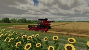 Beware Of Straw v1.0.1.1 FS22 [Download Now]