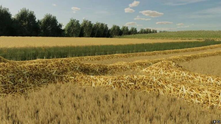 Wide swaths of straw v1.0 FS22 [Download Now]