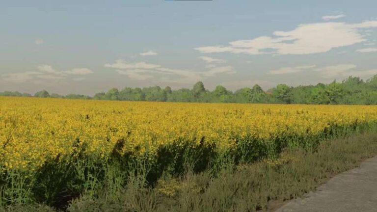 Textures of canola v1.0 FS22 [Download Now]