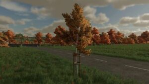 Treesupport v1.0 FS22 [Download Now]