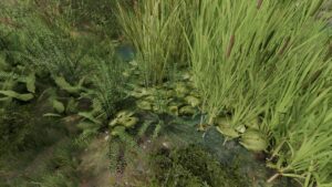 Frogs For Pond v1.0 FS22 [Download Now]