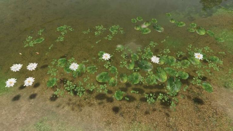 Water Lilies Mix – v1.0 FS22 [Download Now]