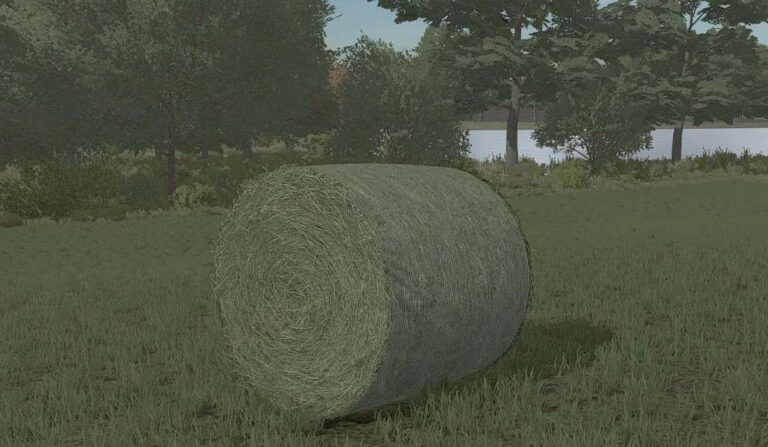 Bale Texture v1.0 FS22 [Download Now]