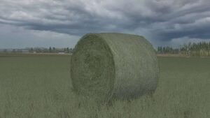 FS22 Bales v1.0 FS22 [Download Now]