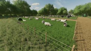 Temporary Grazing Pastures v1.0 FS22 [Download Now]