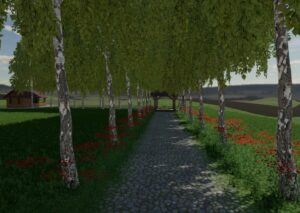 Birch Hollows v1.0 FS22 [Download Now]