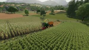 Colline Map v2.0 FS22 [Download Now]