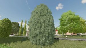 Thuja v1.0 FS22 [Download Now]