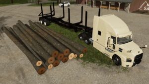 LOGGER TRAILER v1.0.0.1 FS22 [Download Now]