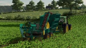 Armer Salmon TR 2000 Vegetable Harvester v1.0 FS22 [Download Now]