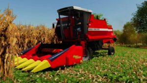 MF 3640 v1.0 FS22 [Download Now]