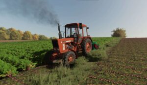 Topping Vegetables v1.0 FS22 [Download Now]