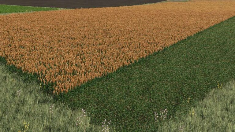 New sorghum texture ready for harvest v1.0 FS22 [Download Now]