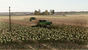 Waverly KY Updated version v1.0 FS22 [Download Now]