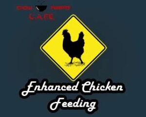 CAFE Enhanced Chicken Feeding v1.0 FS22 [Download Now]